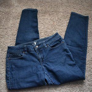 Ann Taylor Loft Curvy Skinny Jeans